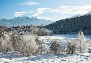 Sne- og skisport