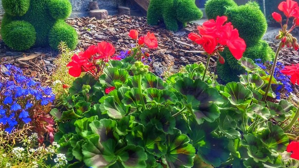 A garden with a green bear sculpture, red and blue flowers, and a building with a red door and a staircase. - Residence Biancaneve (Aprica)