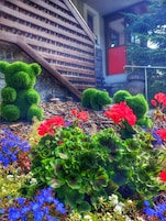 Jardim