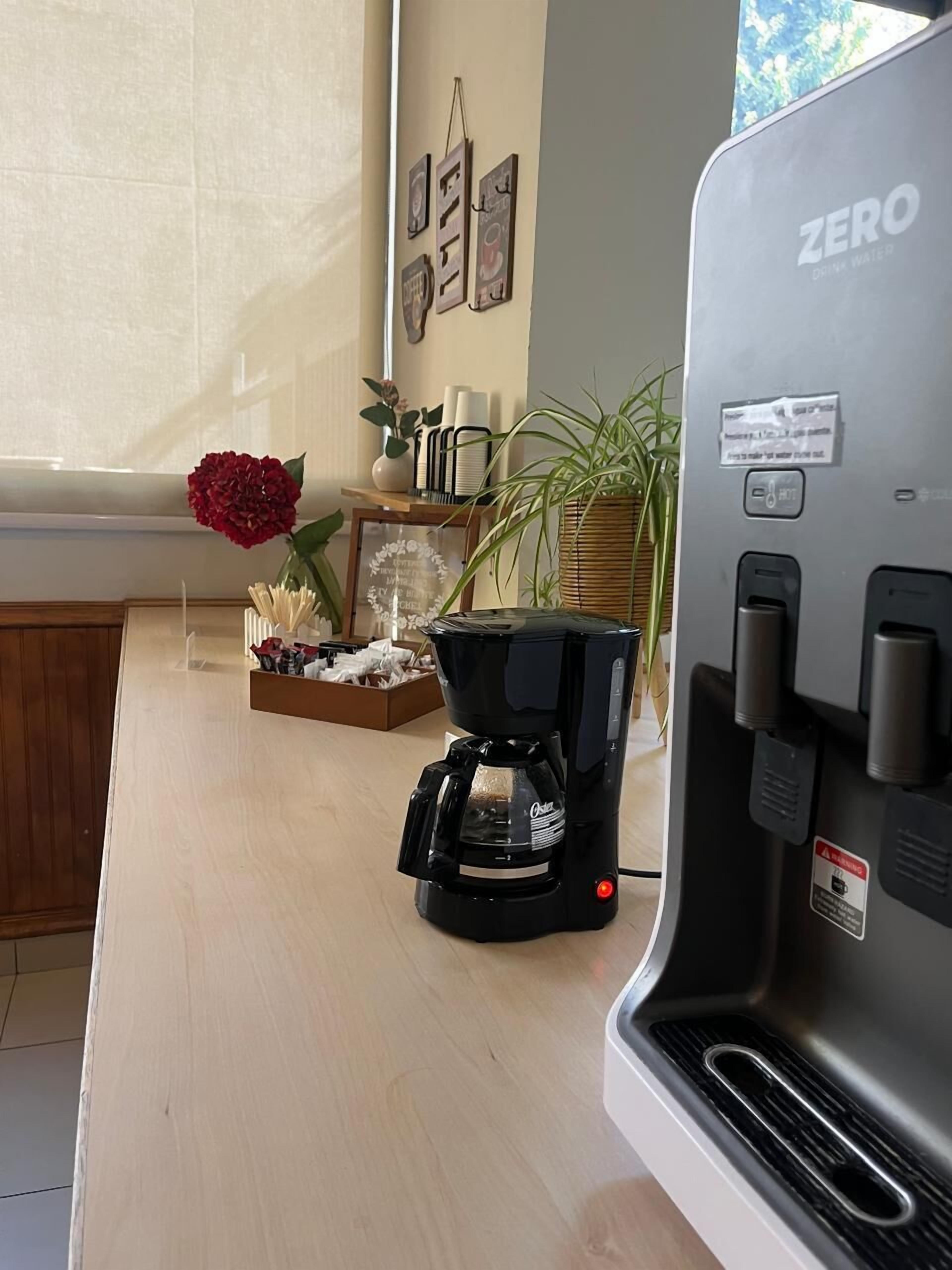 Cuina amb cafetera, dispensador d'aigua i una planta en test.