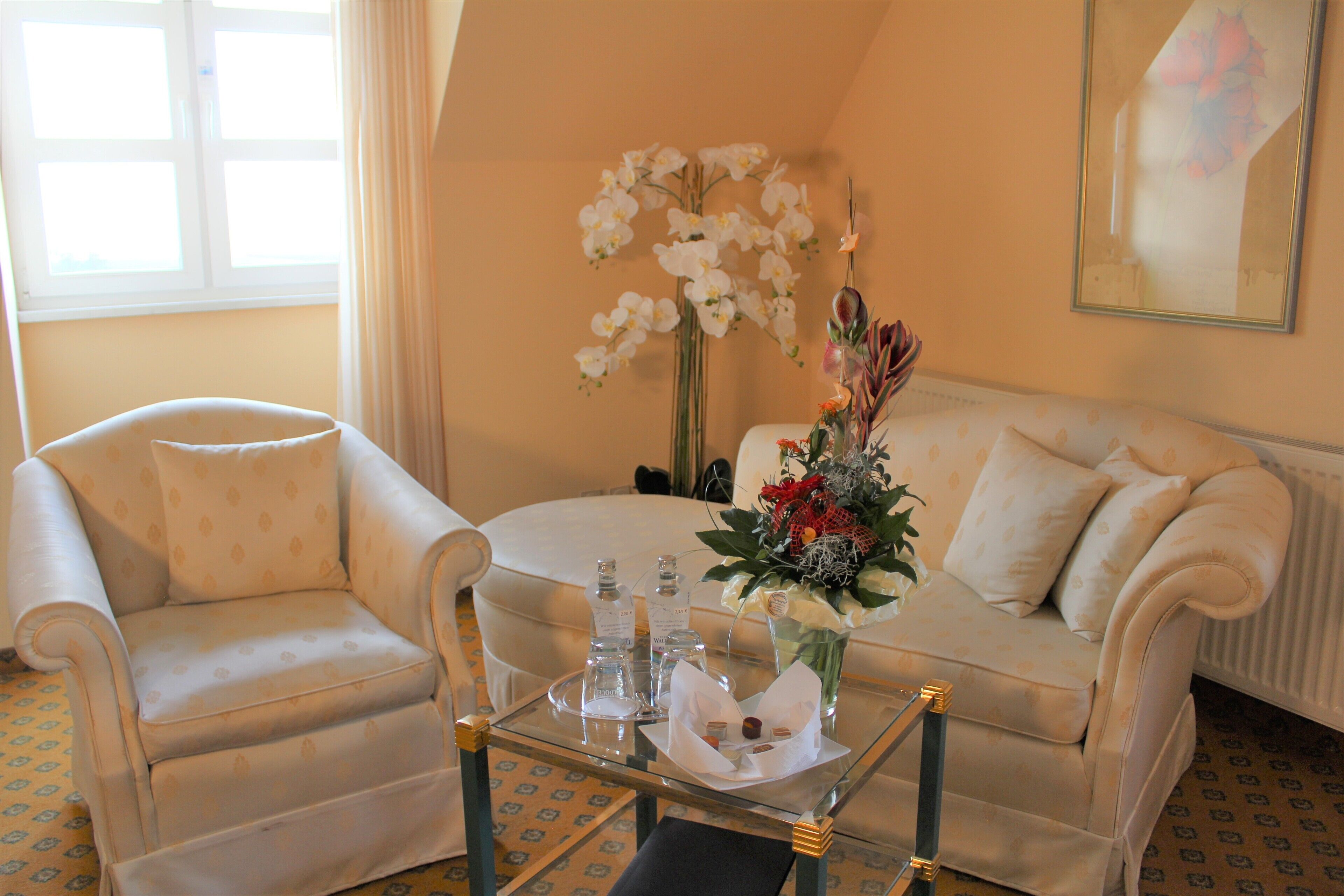 luxury suite | living area | 32-inch tv with satellite channels