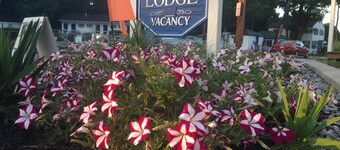 Pine View Lodge