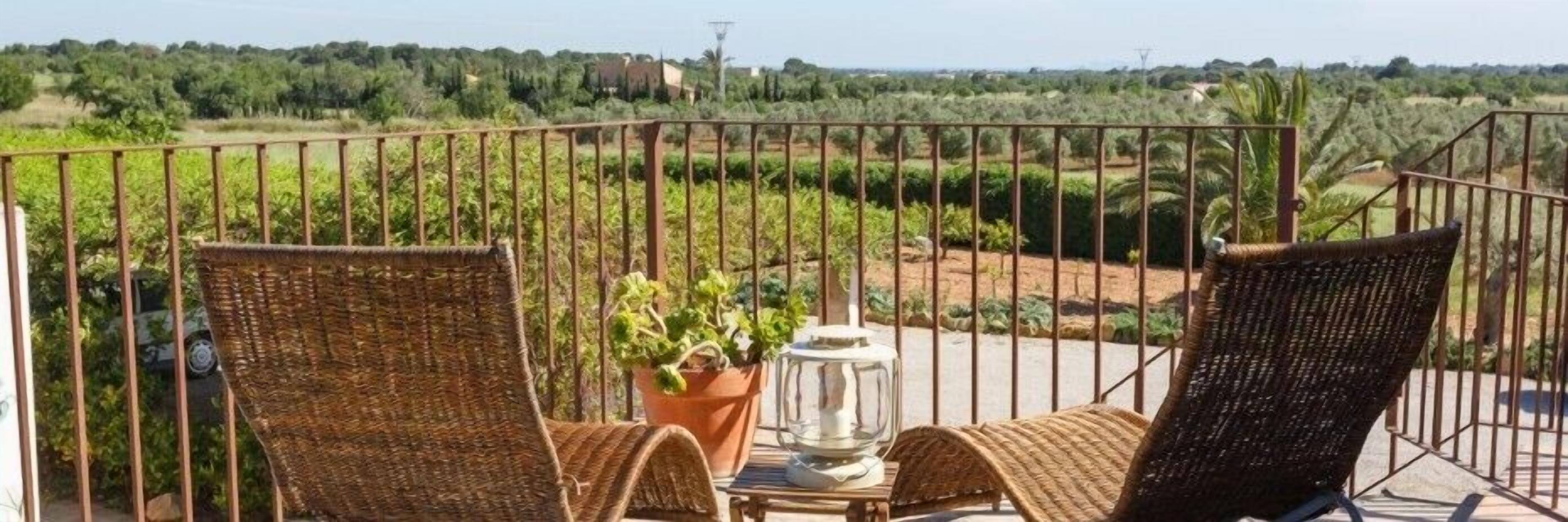Un balcón con sillones de mimbre y una planta en maceta, con vistas a un viñedo y edificios lejanos.
