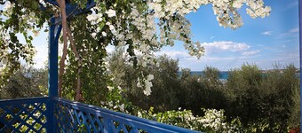 Banana Cyprus Villas