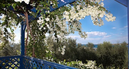 Banana Cyprus Villas