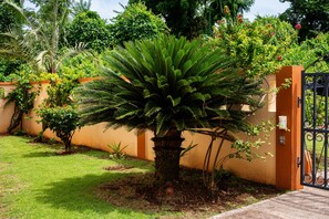 A well-maintained garden with a large palm tree, a wall with climbing plants, and a gated entrance. - Valley Breeze Guest House (St. Andrew)