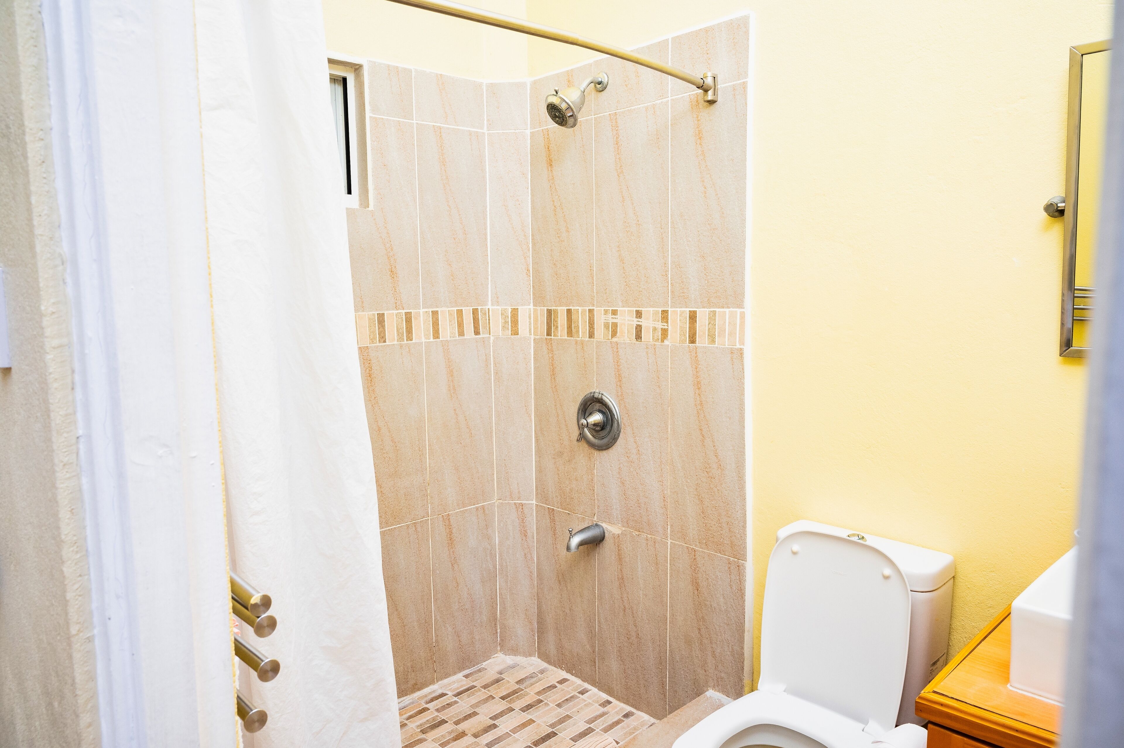 A bathroom with a shower, toilet, and a mirror.