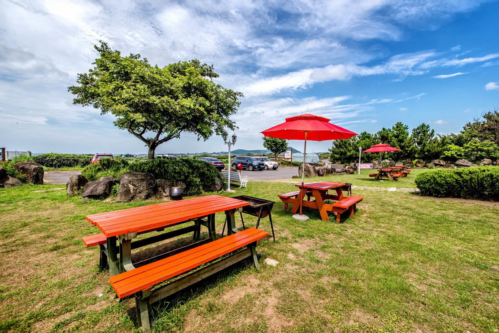 Photo - Herb in Pension