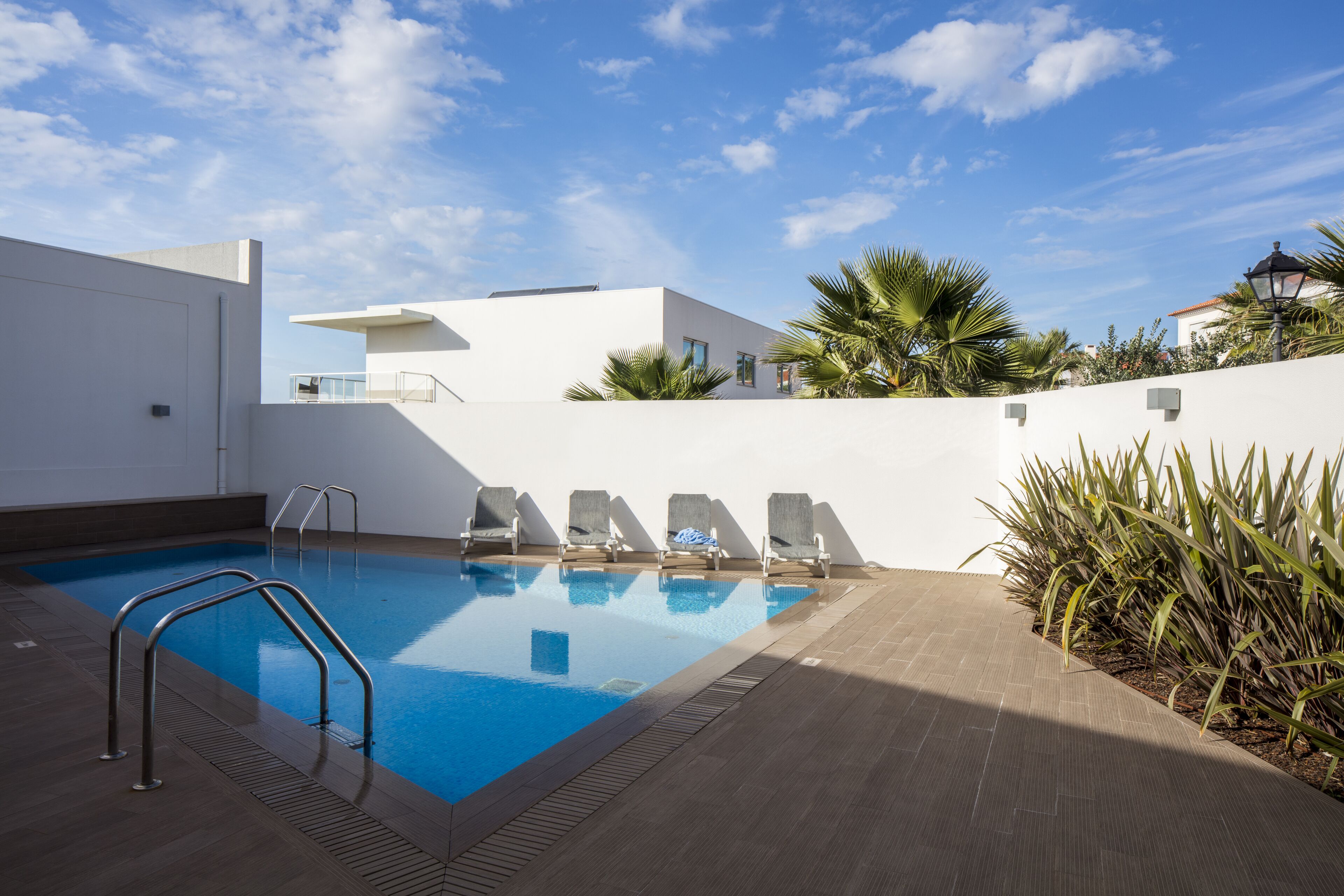 A swimming pool with sun loungers and a metal ladder, surrounded by a white wall and palm plants.