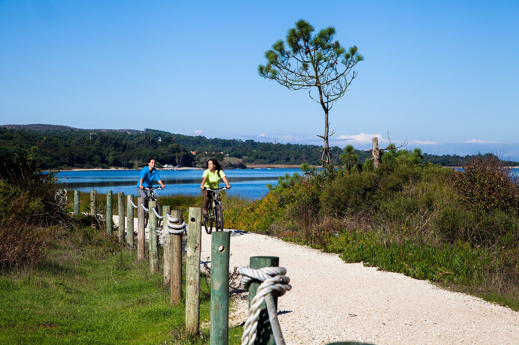 A gravel path with wooden posts and ropes, leading to a body of water with a tree and hills in the background.