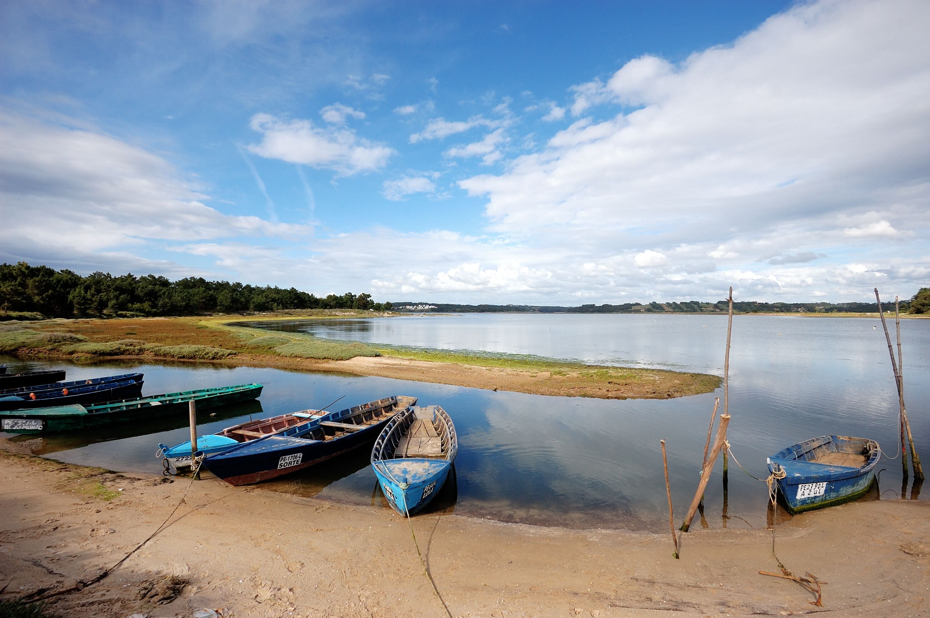 Um lago tranquilo com várias embarcações atracadas na margem.