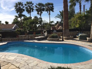 A swimming pool with stone tiles, surrounded by palm trees and potted plants. - De Michanna Properties (Anarita)