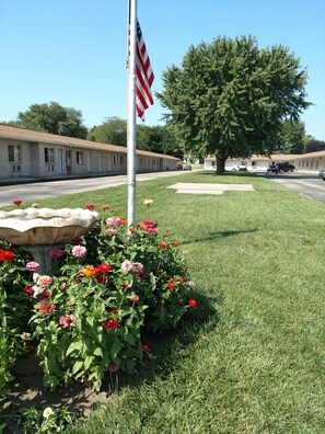 Garden view - All Seasons Motel (Rock Falls)