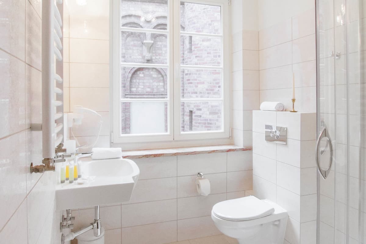 shower, free toiletries, hair dryer, slippers