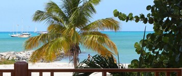 Vista desde la propiedad