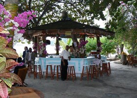 Bar (en la propiedad)