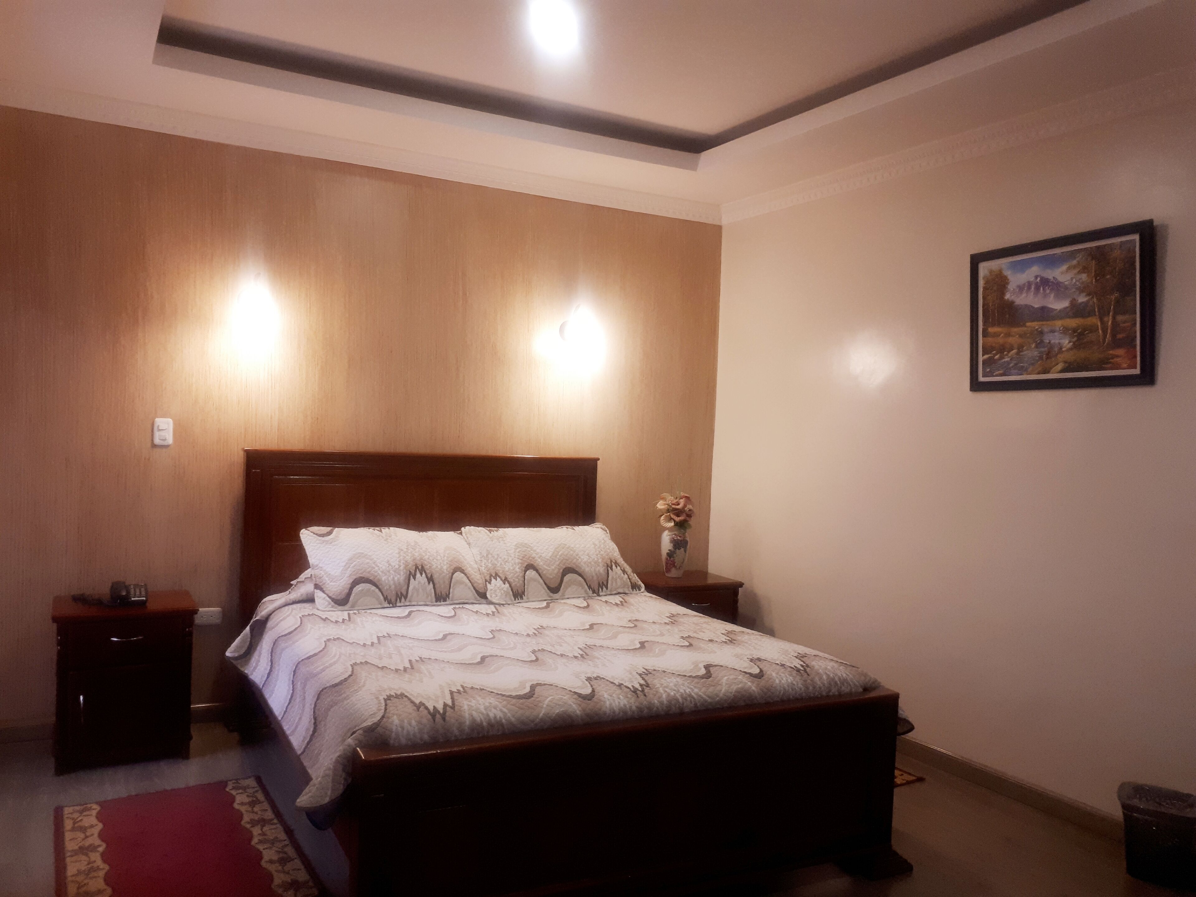 single room | 1 bedroom, desk, iron/ironing board, rollaway beds