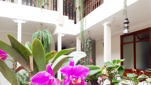 A spacious indoor atrium with a wooden reception desk, potted plants, and a hanging lantern. - Hotel Casa Montero (Quito)