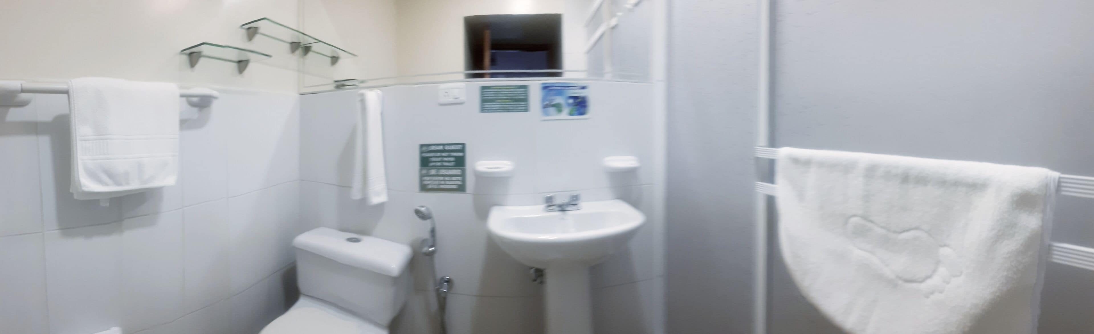 shower, free toiletries, hair dryer, towels