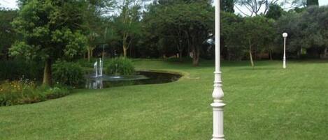 A well-maintained lawn with a white lamp post and a small pond with a fountain.