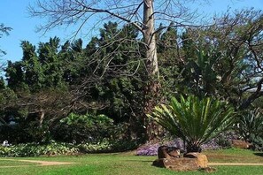Garden - Ascot Inn (Pietermaritzburg)