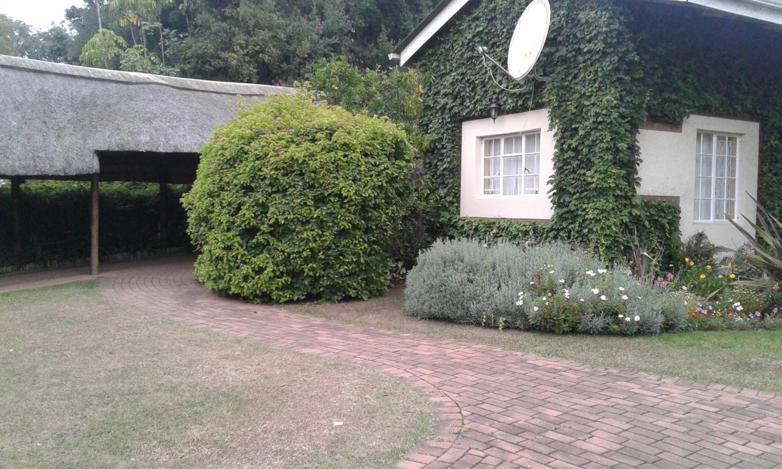 A house with ivy-covered walls and a brick pathway leading to a thatched-roof structure.