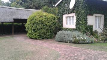 A house with ivy-covered walls and a brick pathway leading to a thatched-roof structure.