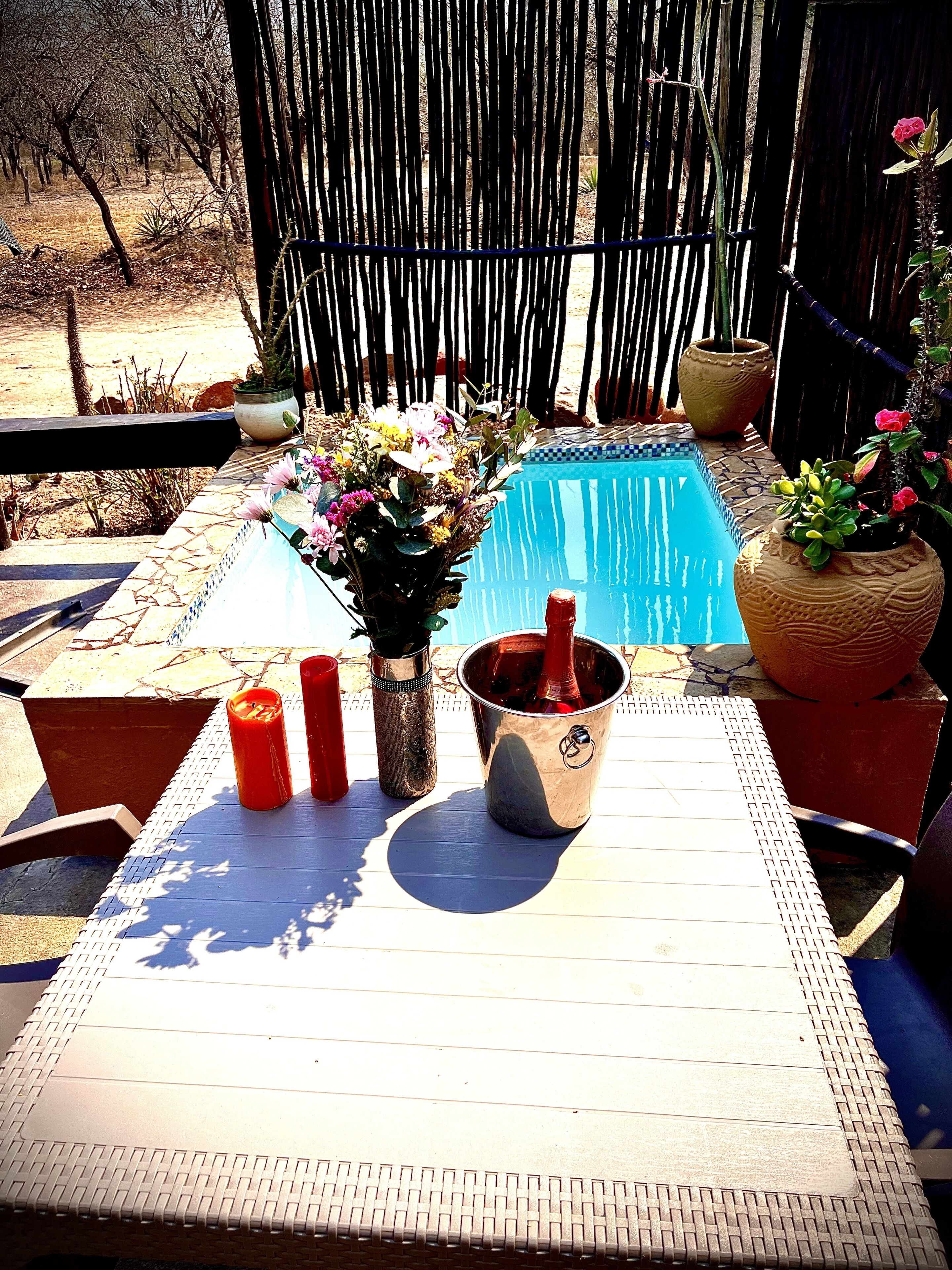 A patio area with a pool, a table with candles, and potted plants.
