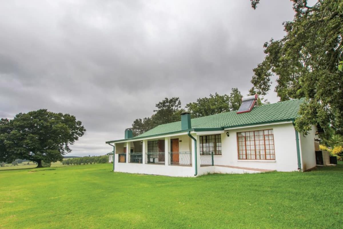 A single-story house with a green roof, a covered porch, and a large tree in the background.