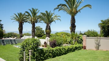Palm Suite | Garden view