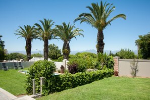 Palm Suite  | Näkymä puutarhaan