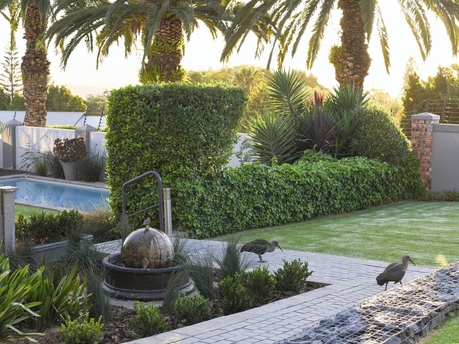 A landscaped garden with a swimming pool, a decorative fountain, and a bird on the ground.