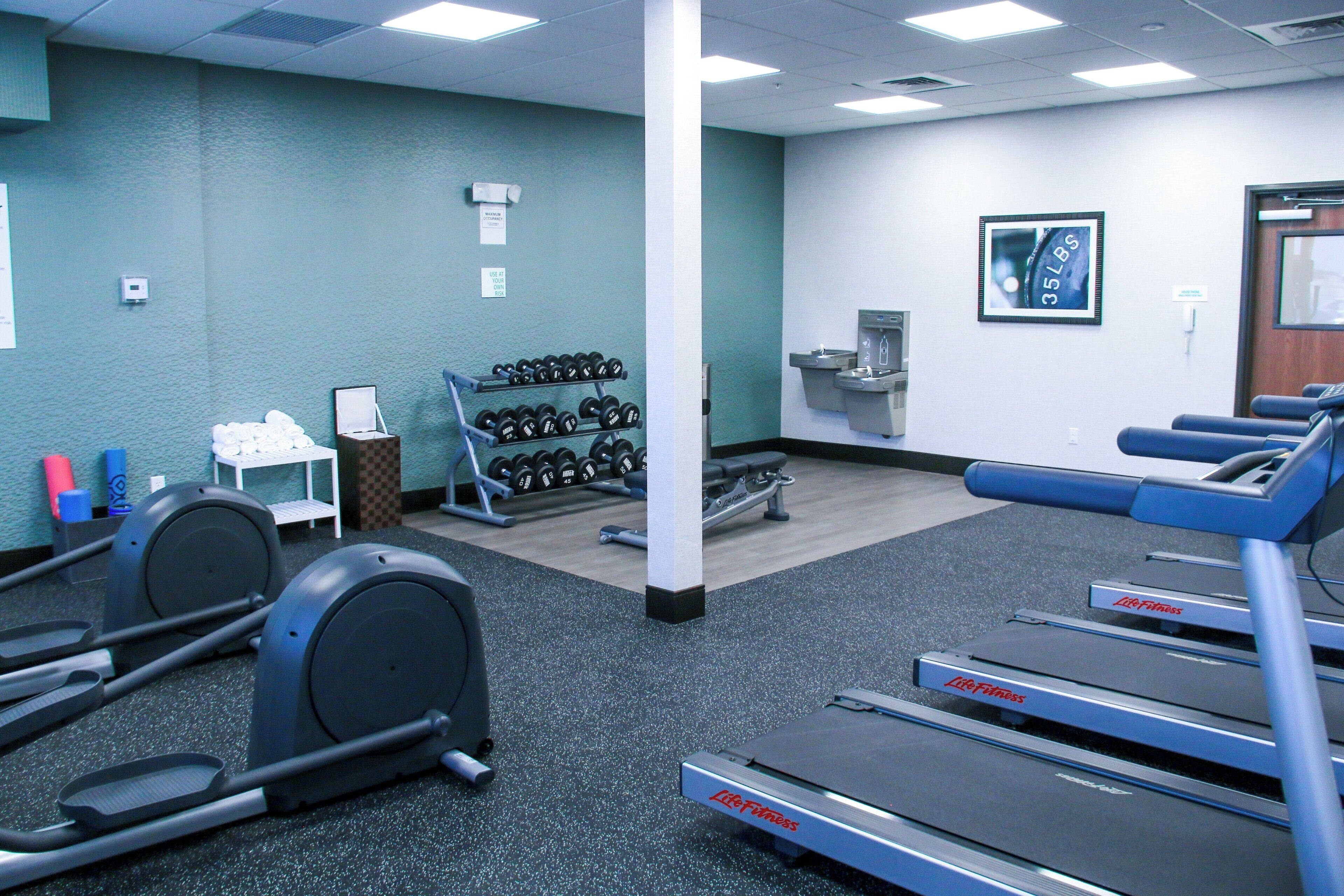 A gym with treadmills, dumbbells, and exercise equipment.