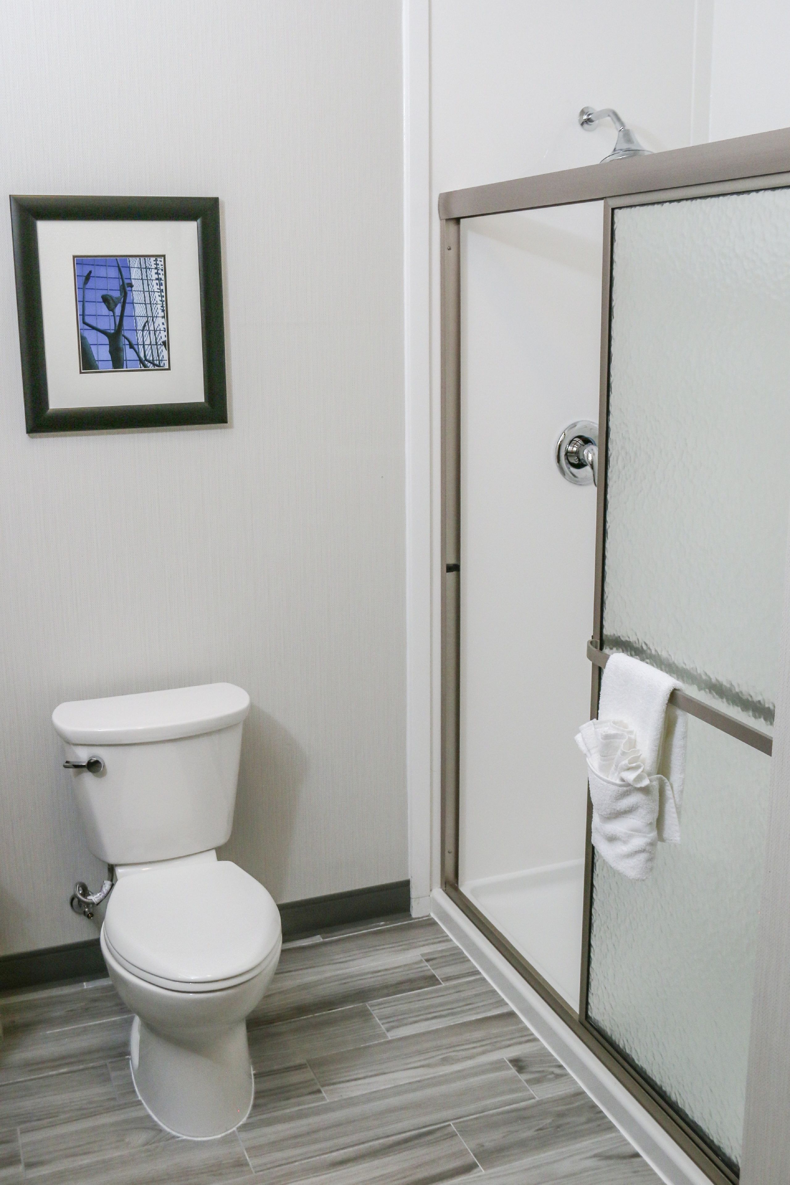A bathroom with a toilet, a shower with a glass door, and a framed picture on the wall.