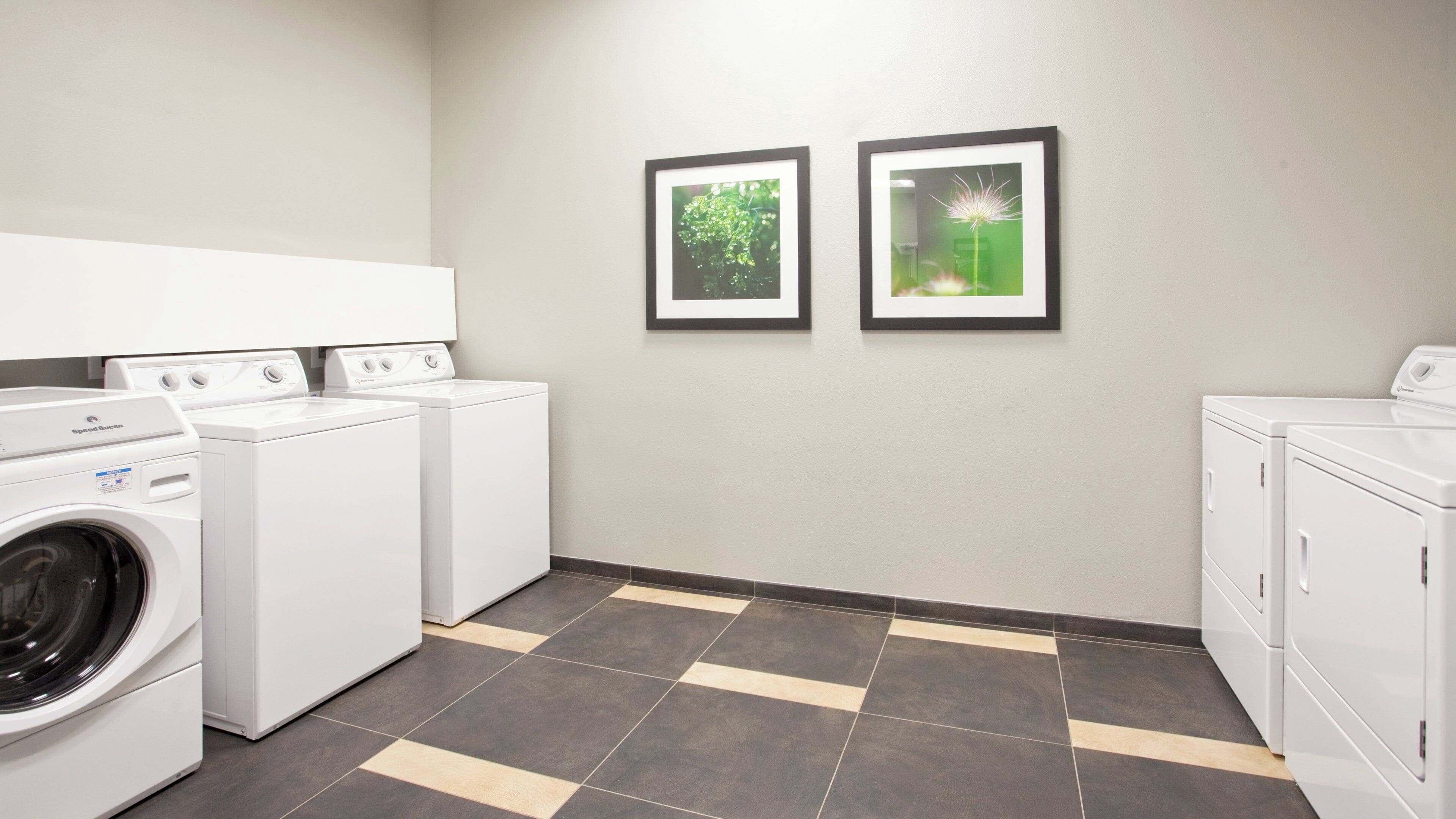 Une buanderie équipée de deux sèche-linge, d’une machine à laver et de deux tableaux encadrés accrochés au mur.