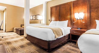 Comfort Suites University