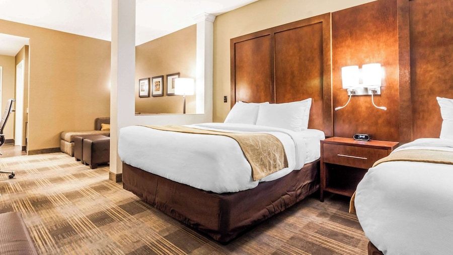 Comfort Suites University