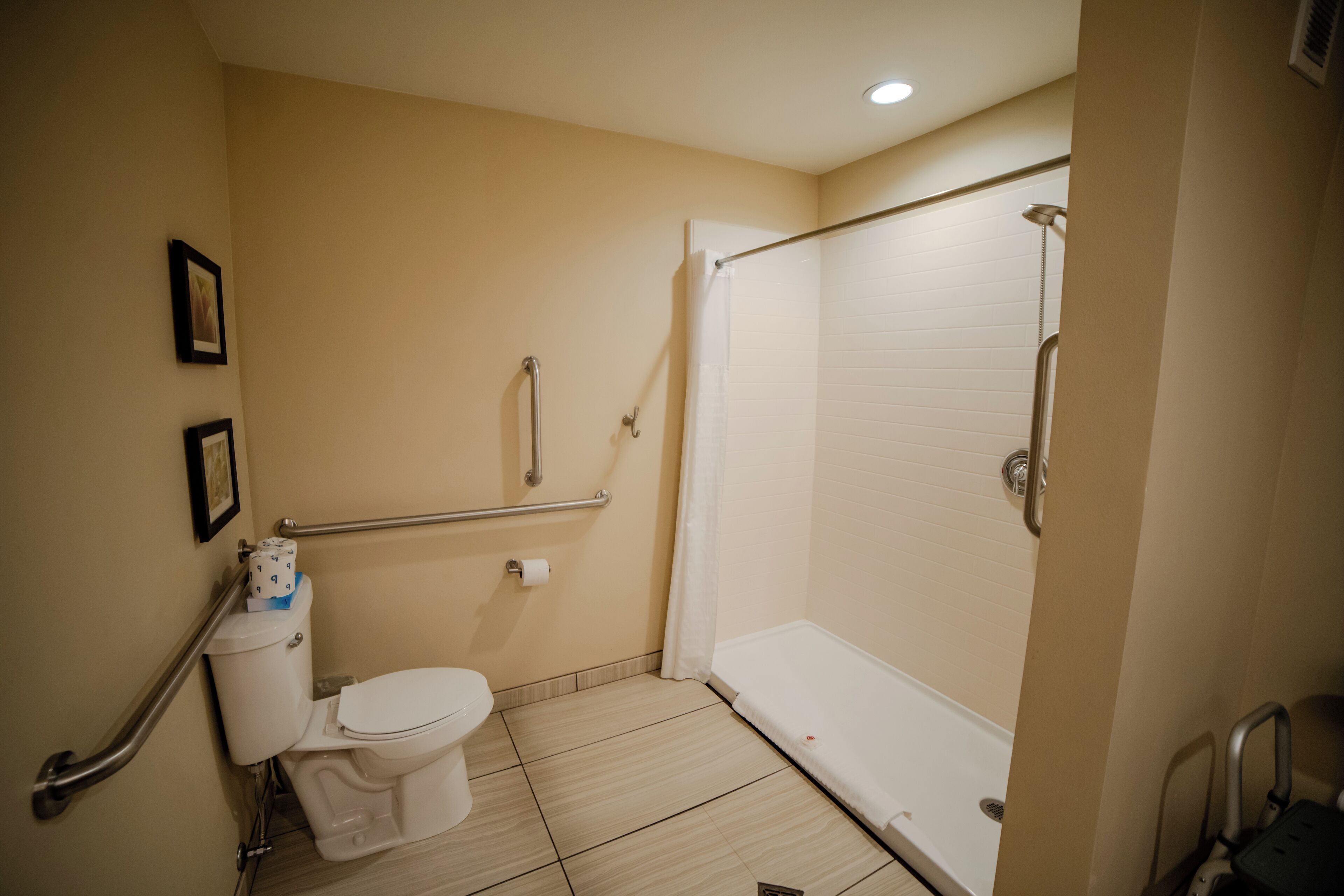 A bathroom with a toilet, a shower, and a handrail.