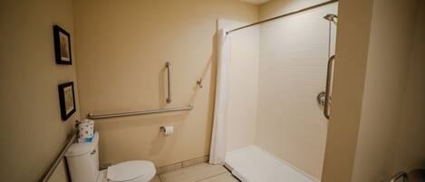 Ein Badezimmer mit Toilette, Dusche und Handlauf.