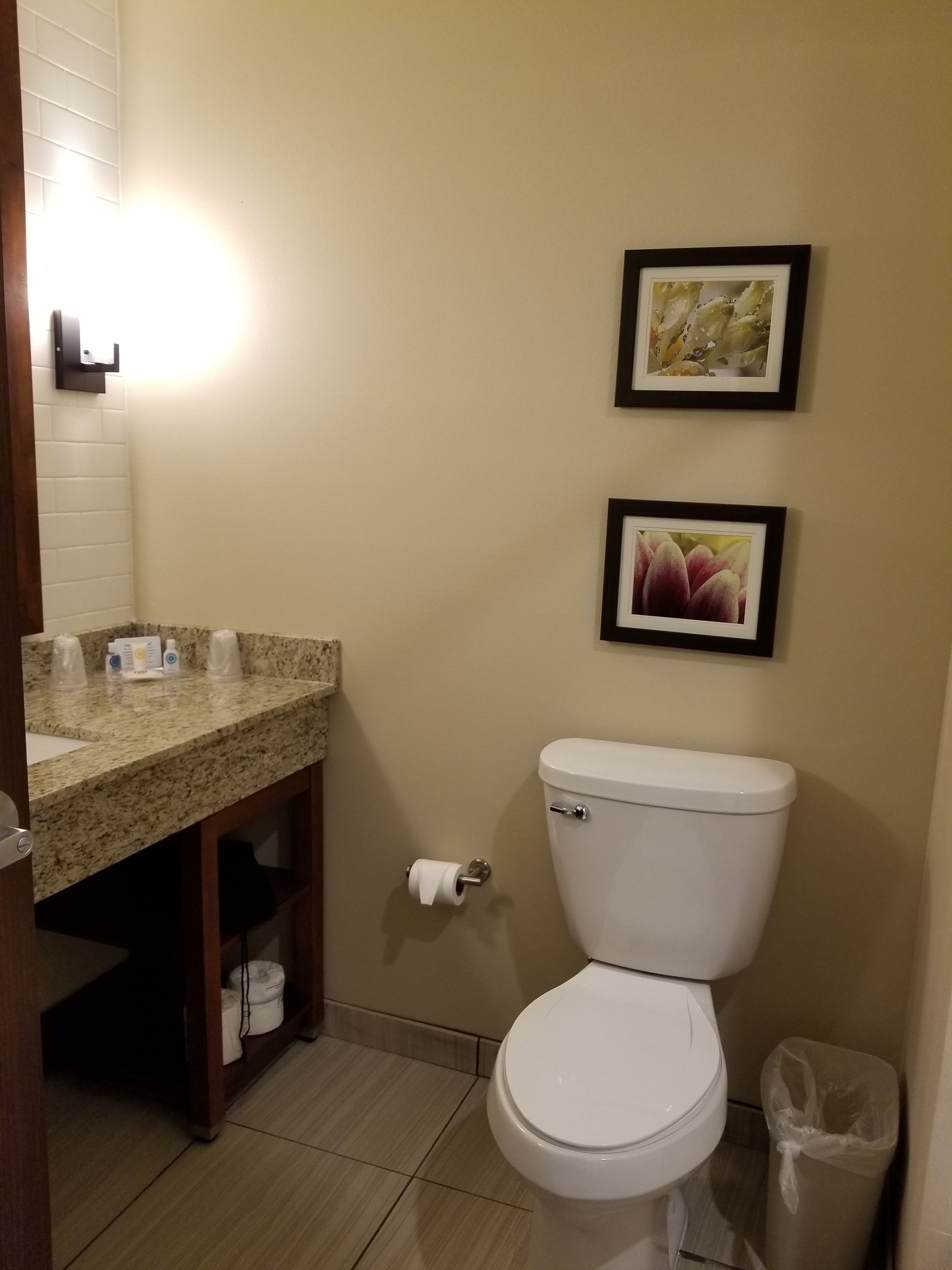 Une salle de bain comprenant des toilettes, un lavabo avec des articles de toilette et deux tableaux encadrés au mur.