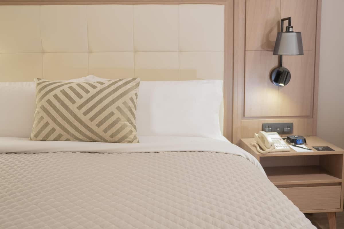 Minibar, in-room safe, desk, iron/ironing board