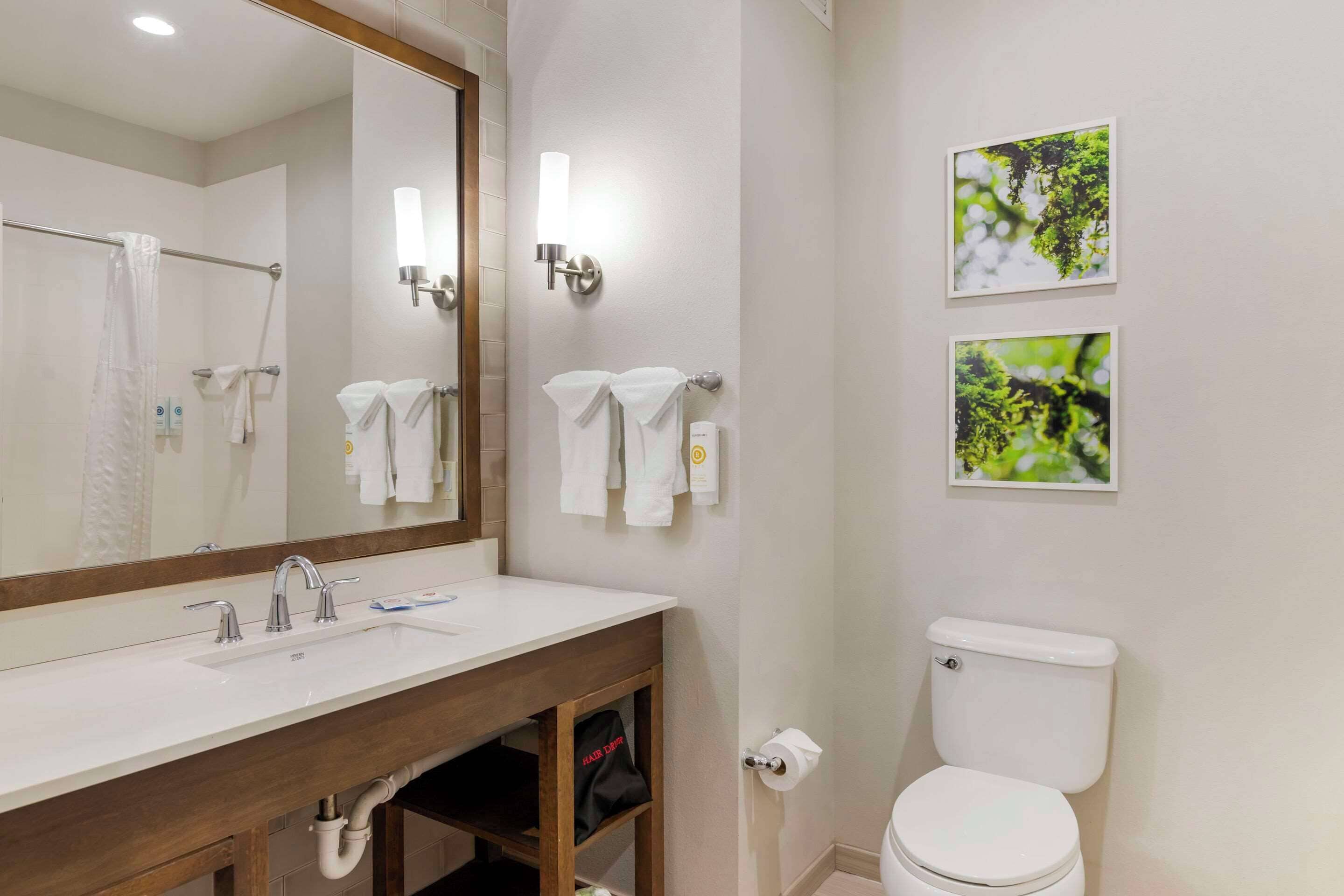 standard room, 2 queen beds, non smoking | desk, laptop workspace, iron/ironing board, free wifi