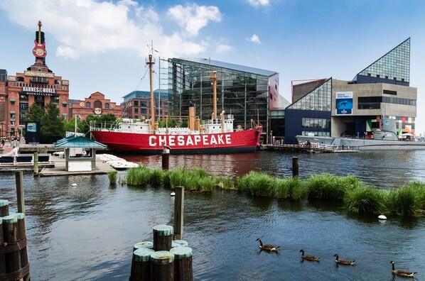 Een rode boot, genaamd 'CHESAPEAKE', ligt afgemeerd in een jachthaven met moderne gebouwen op de achtergrond.