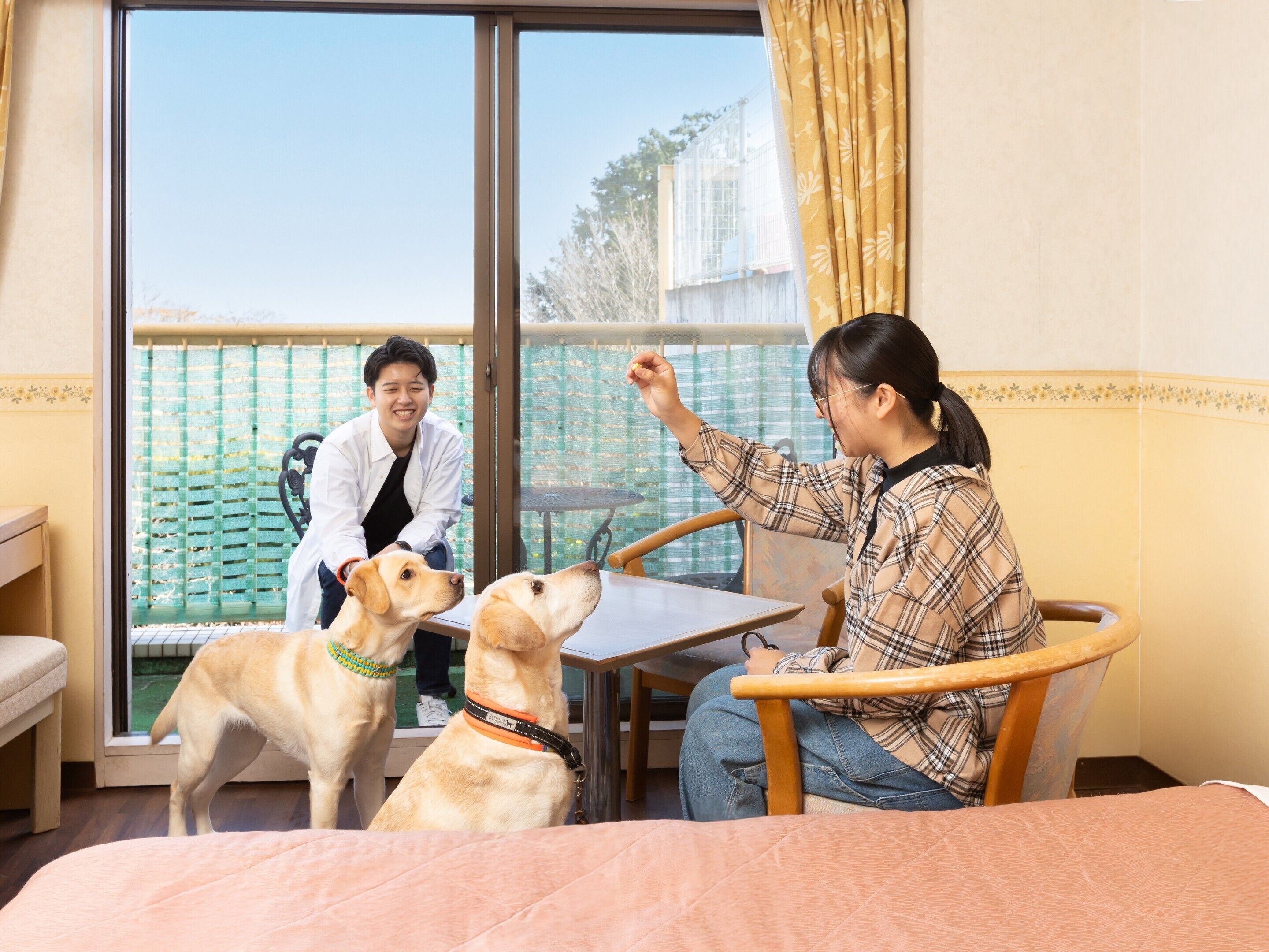 Een kamer met een bed, een tafel en twee honden.