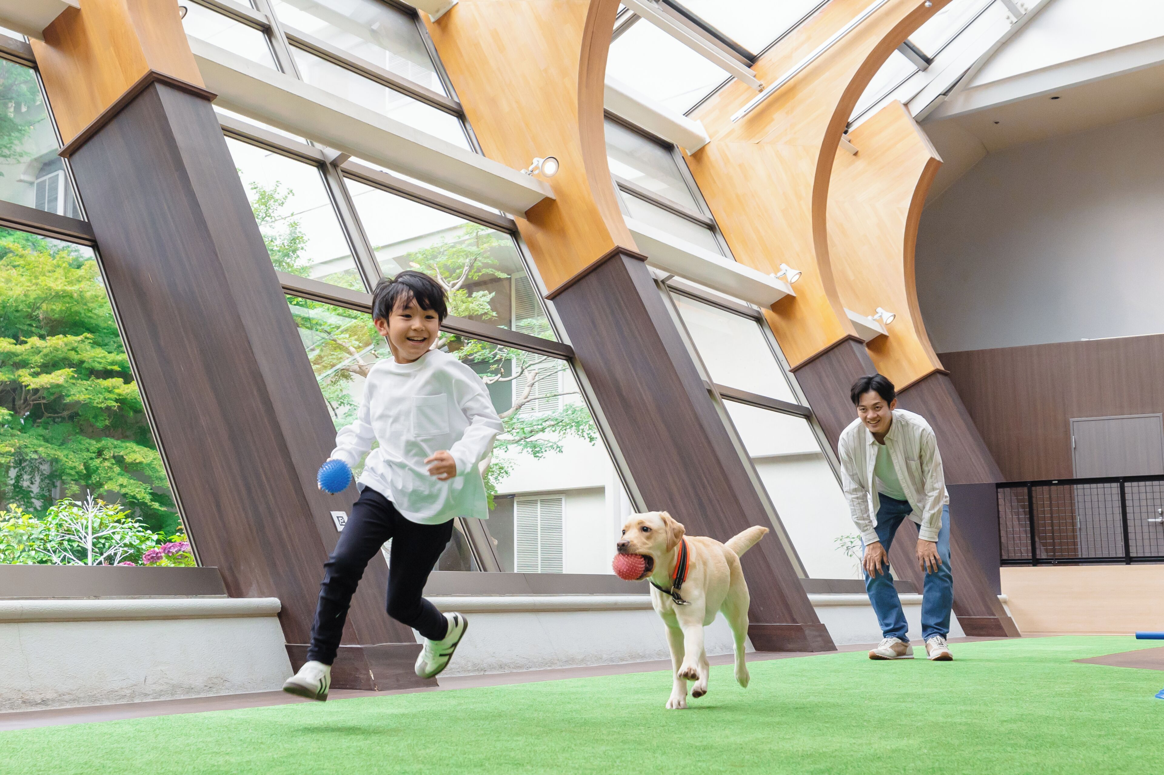 A spacious indoor area with large windows and a green artificial turf.