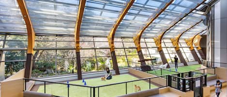 Pet-friendly amenities