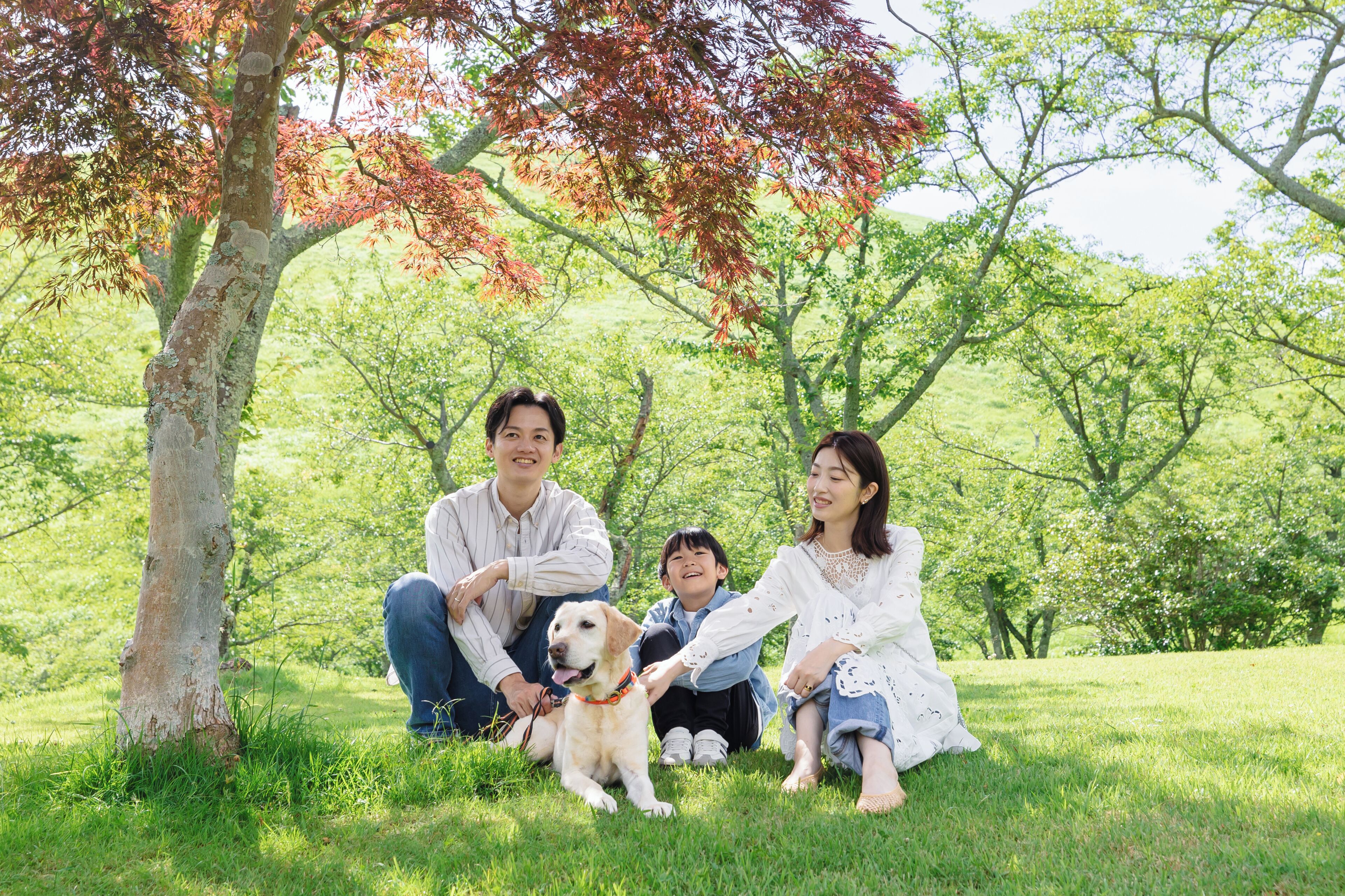 A family with a dog in a grassy park with trees.