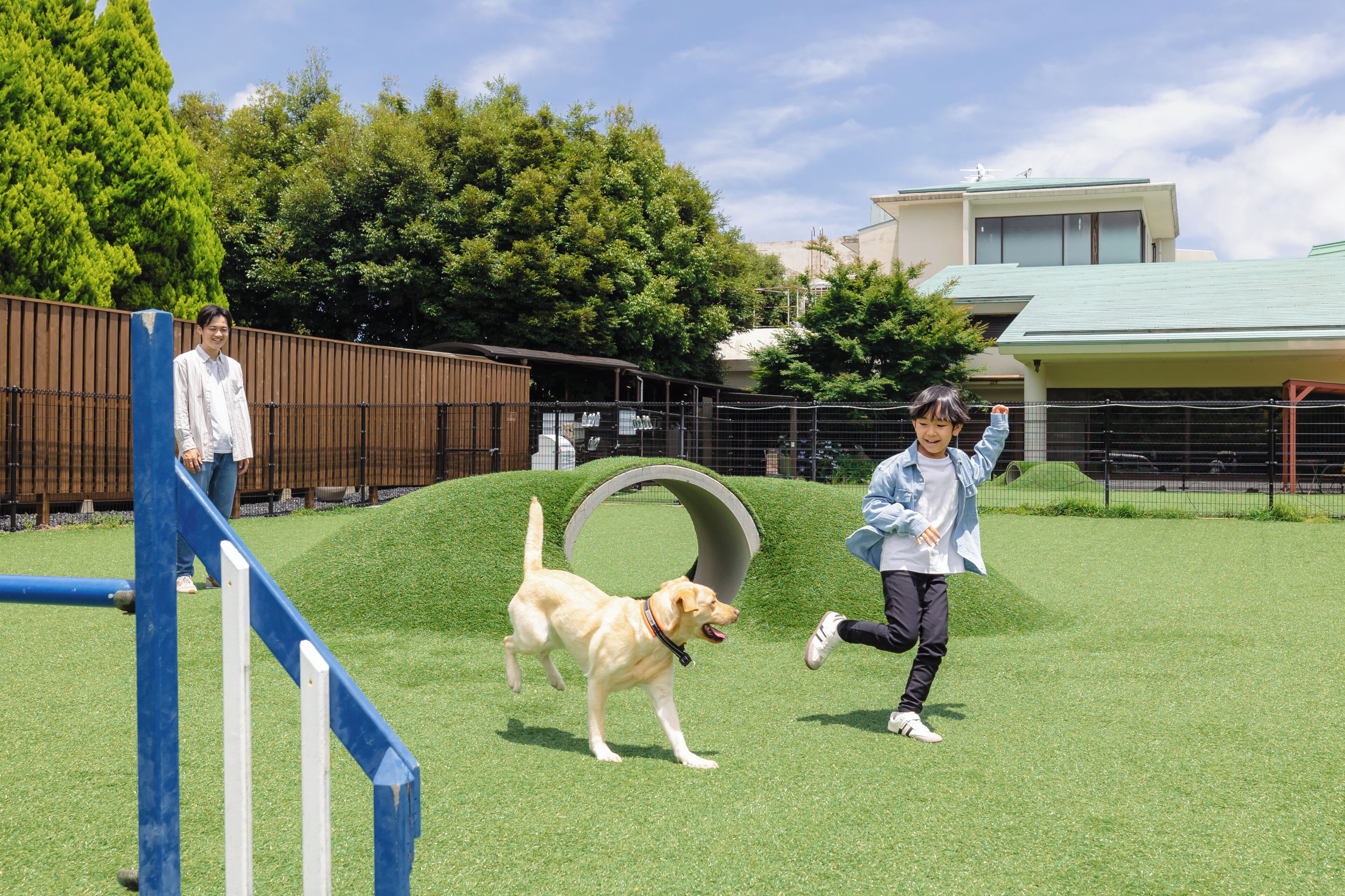 A grassy area with a dog and a person.