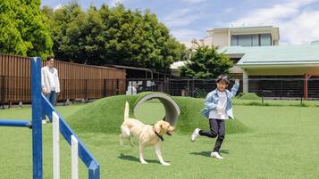 A grassy area with a dog and a person.