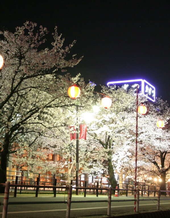 A nighttime view of a park with cherry blossom trees, street lamps, and a building with illuminated signage in the background.